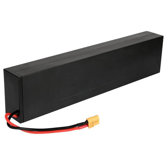 G4 Electric Scooter Battery